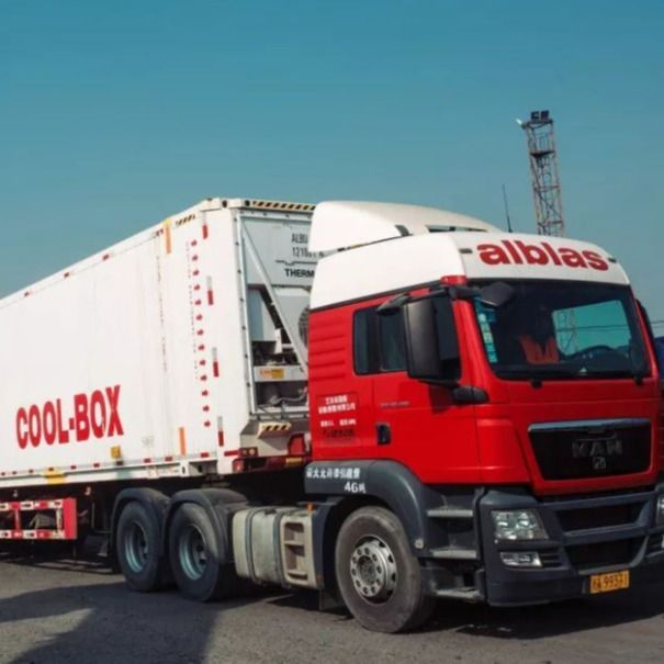 Camión de envío del envase de China a la venta de Europa Holland Belgium Oversize Cargo For