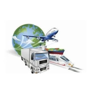 Servicio internacional expreso del transporte de la logística de Fedex de la agencia marítima de DDP de China a Norteamérica