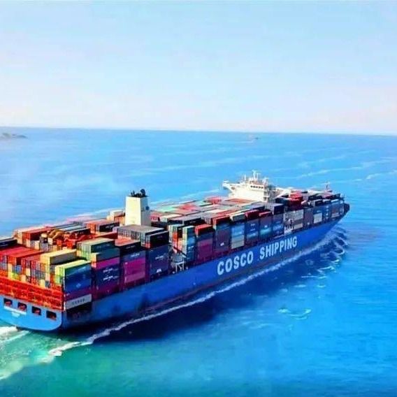 Proceso aero-marítimo de la expedición de la carga de la importación de China a Italia Países Bajos España