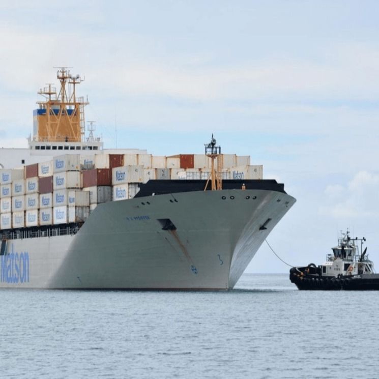 Transportista Envío Agente de carga Agente de carga China a Estados Unidos Canadá Reino Unido Global Lcl Envío de carga