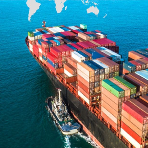 Logística de distribución y almacenamiento del flete aéreo de DHL de la gestión de los servicios a la ruta de comercio de Países Bajos