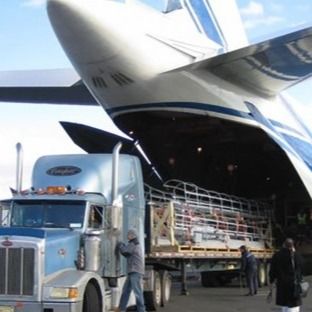 DDP sube el promotor internacional del flete aéreo de China a los E.E.U.U. Países Bajos y al envío de Canadá