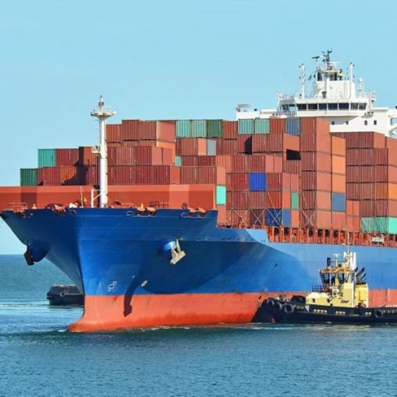 China a la carga de mar del Cif del MANDO del aire DDU DDP de la FBA del negocio FCL del promotor de carga del envío del mundo