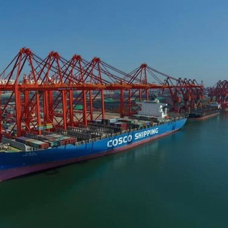 mar global China del MANDO LCL del centro del envío del descenso 3c a Jordania promotor de carga de Exw de 3 días