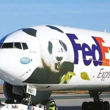 Sube expreso de aire internacional a domicilio de los navieras rápidamente a Dubai UAE