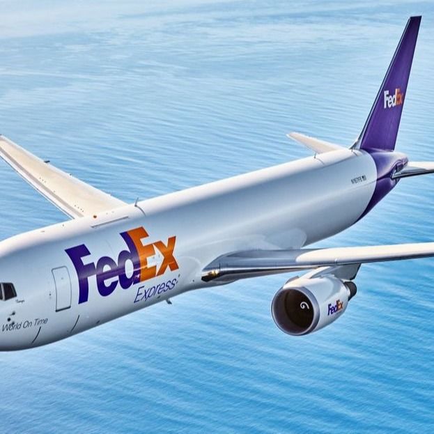 Carga internacional de Fedex DHL que remite servicios de la importación de la exportación de China a Nueva Zelanda