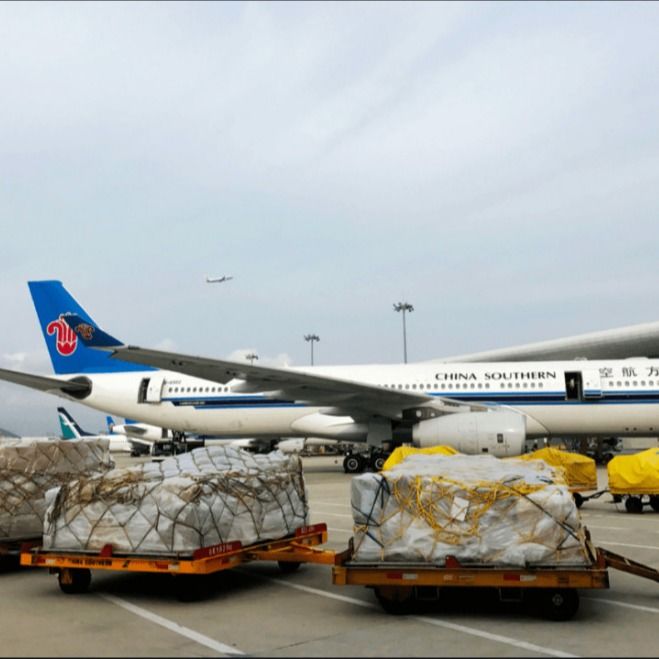 Shanghai China a Estados Unidos Transporte Ddp Servicios de entrega de carga puerta a puerta